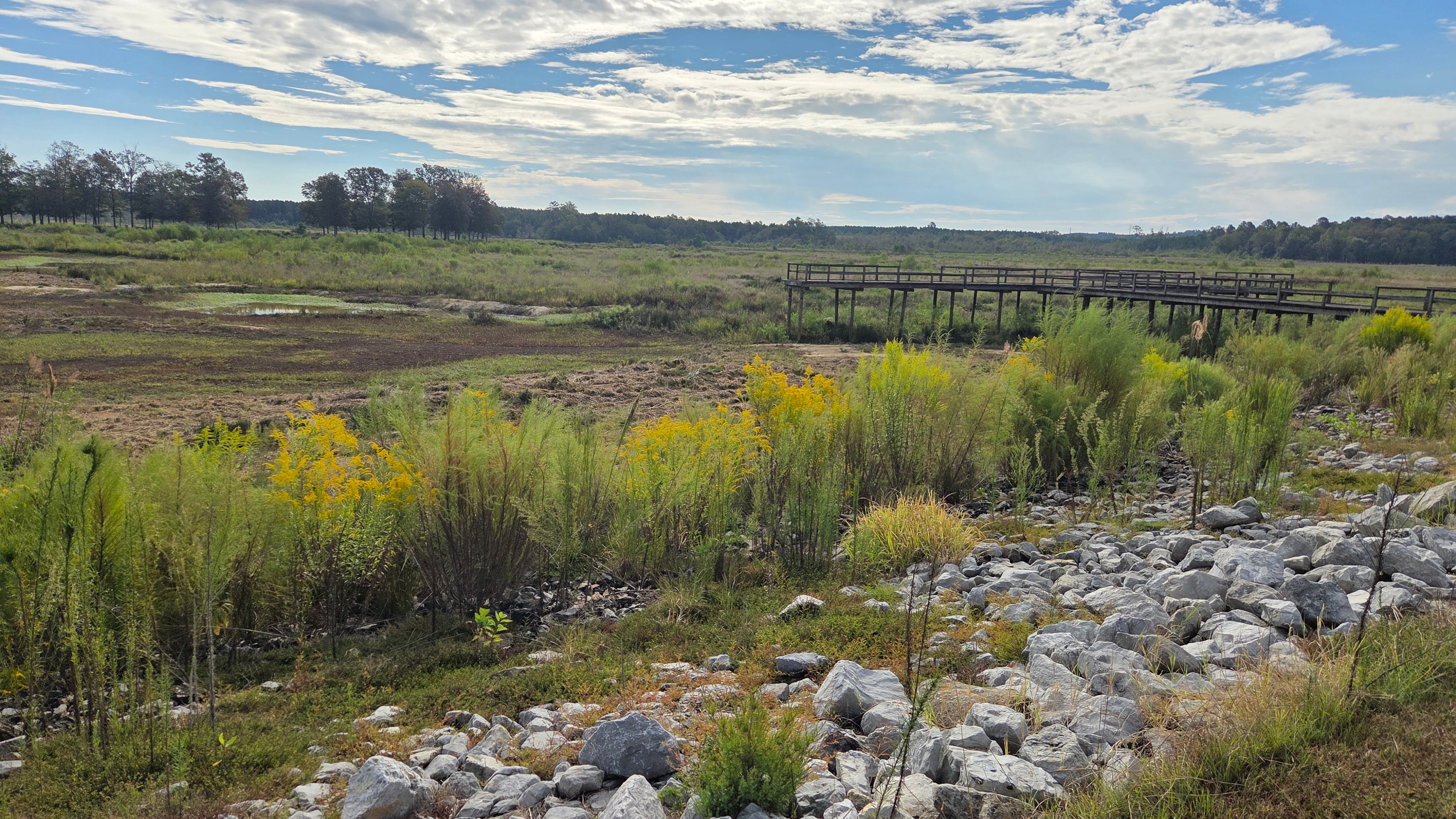 Neshoba Lake Dam Repair Project Enters Pre-Planning Phase