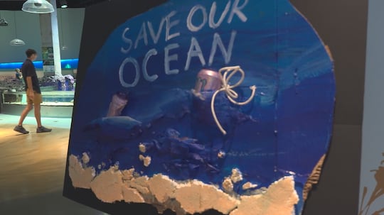 The exhibit also serves as a research platform. Mojica said the team is studying whether...