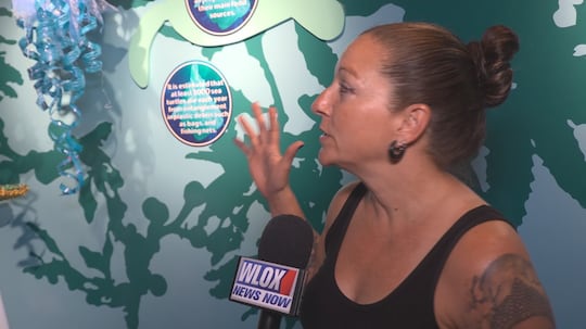Mojica collaborated with the Mississippi State Beach Cleanup Crew on the project.