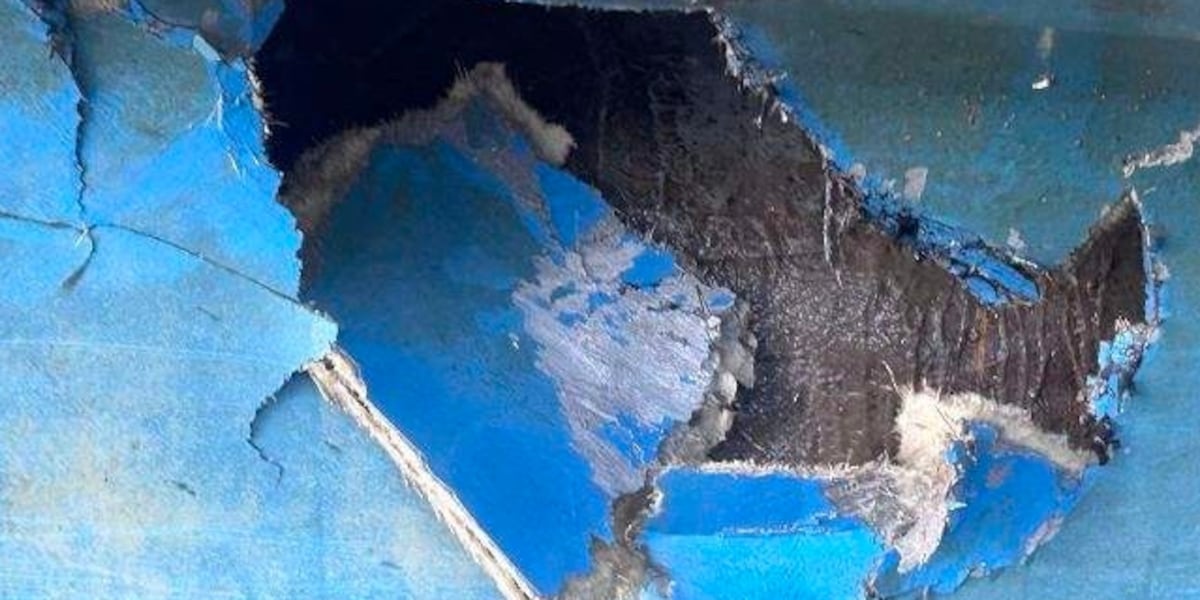 ‘A giant hole': Family escapes sinking boat after being struck by humpback whale The family said their boat was hit by a humpback whale while anchored in Glacier Bay. (Source: KTUU) Published : Aug. 8, 2026 at 4:10 AM GMT+2 | Updated : seconds ago