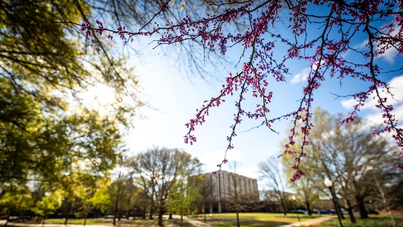 MSU, partners receive East Mississippi Sentinel Landscape Designation