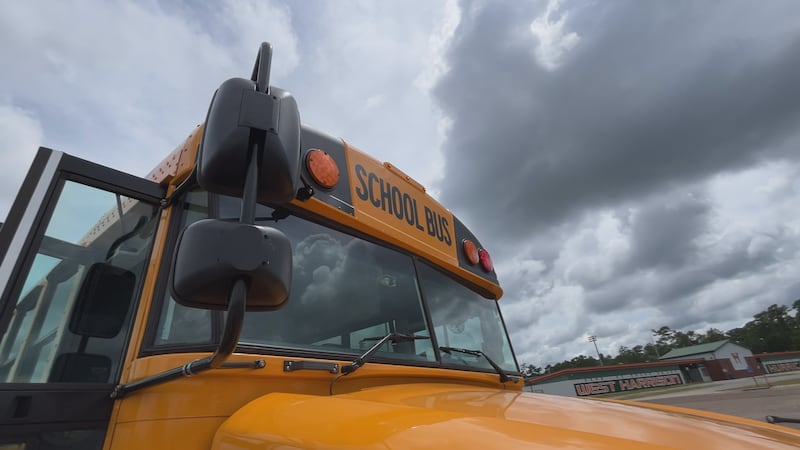 Harrison County Bus Driver Michael Necaise says common sense like not texting and driving...