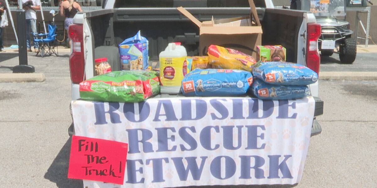 The Roadside Rescue Network