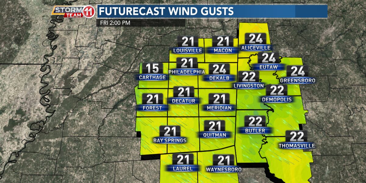 Rainy and windy for Friday