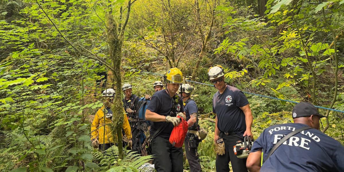 Worker hit and killed by falling tree, authorities say An arborist died after being hit by a falling tree in northwest Portland on Tuesday morning, according to Portland Fire & Rescue. (Source: KPTV) Published : Aug. 7, 2026 at 8:01 PM GMT+2 | Updated : moments ago