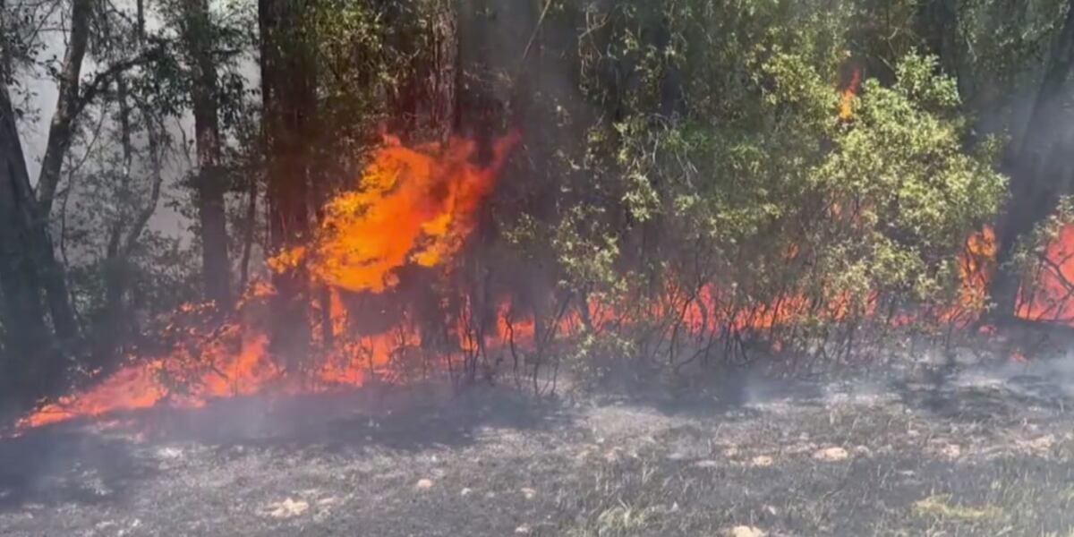 Burn ban in 40 Mississippi counties