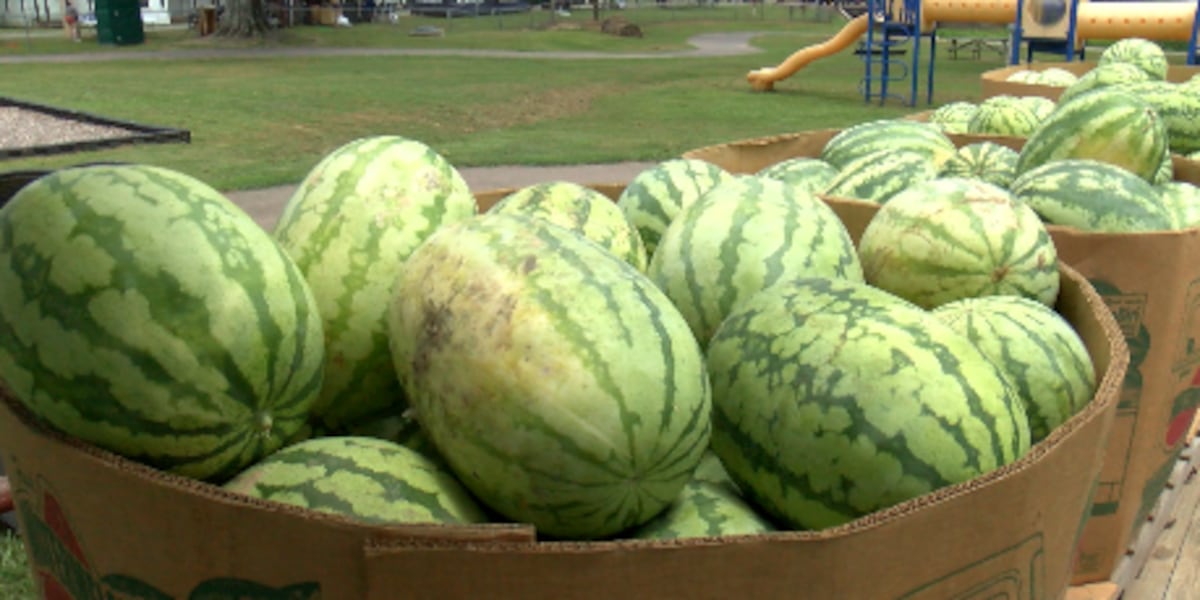48th Mississippi Watermelon Festival underway in Mize The Smith County Watermelon Festival kicked off today and continues to tomorrow night. Published : Jul. 18, 2026 at 3:40 AM CEST | Updated : 1 hour ago