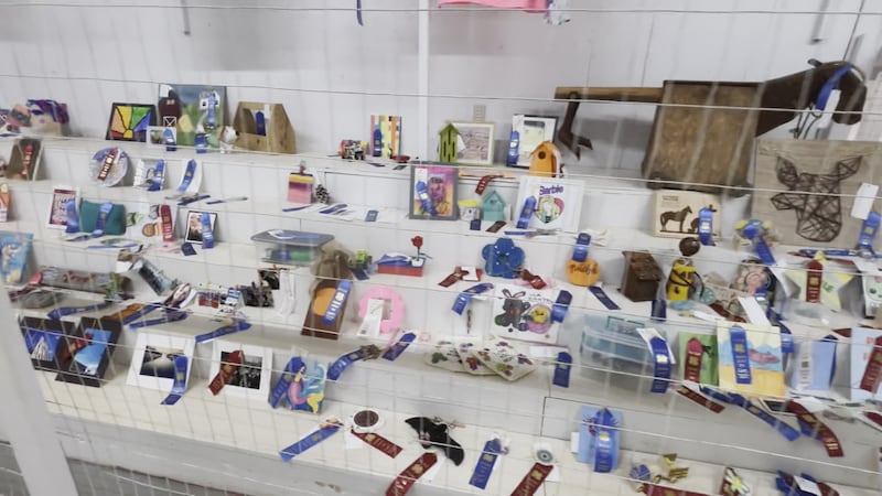 Neshoba County Fair sees massive flea market turnout despite rainy conditions